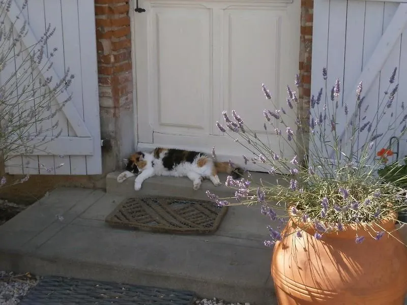 Vakantiehuis La Ferme De Montplaisir Villa Montesquieu-Volvestre Frankrijk