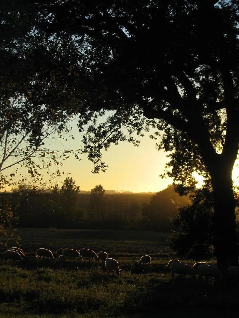 La Ferme De Montplaisir Villa Montesquieu-Volvestre Vakantiehuis